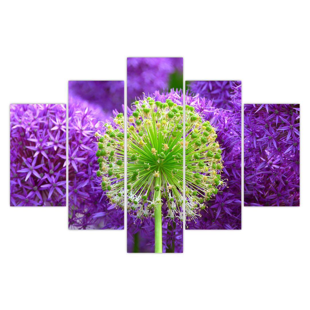 Obraz květiny (V020625V150105)