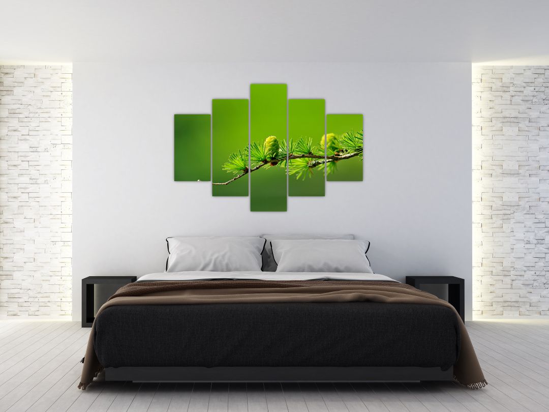 Obraz zelené šišky (V020627V150105)
