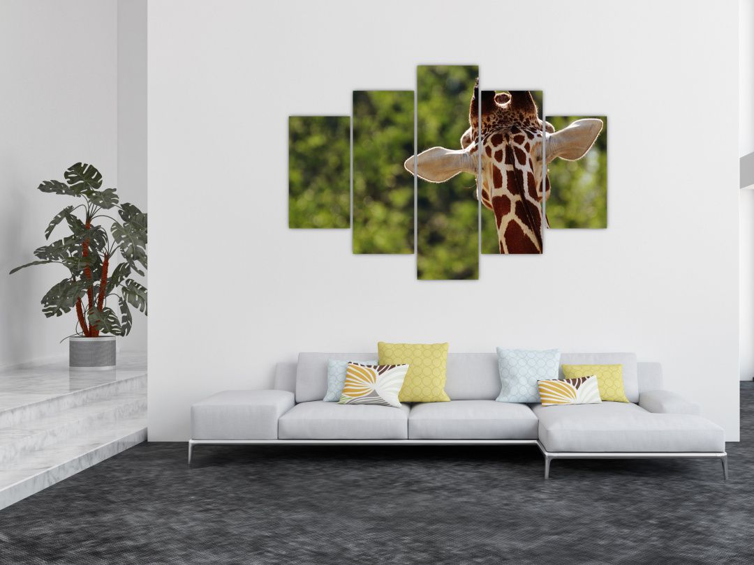Obraz žirafy zezadu (V020638V150105)