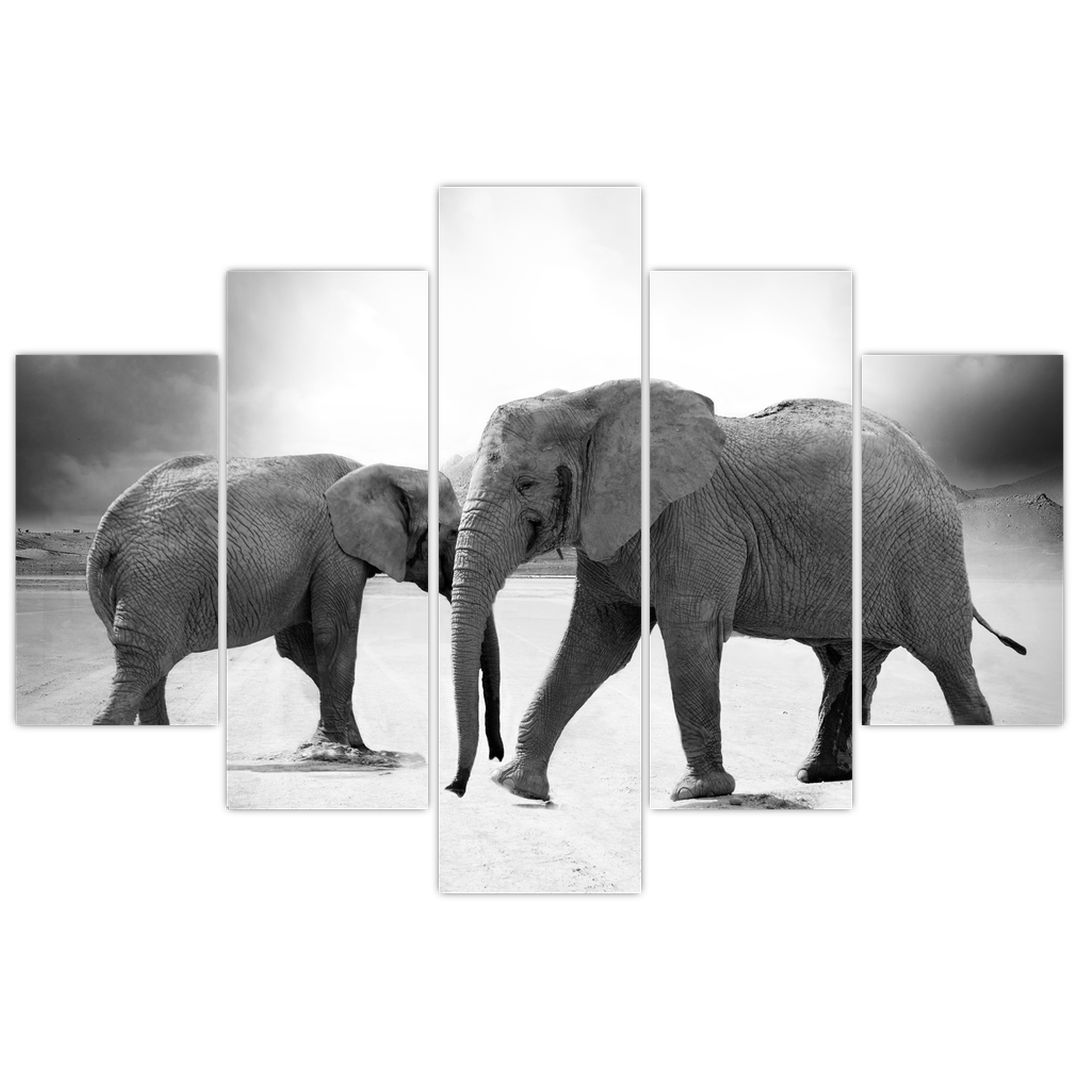 Tablou cu elefanți (V020900V150105)