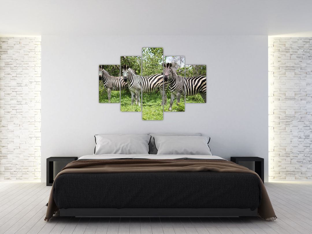 Obraz s zebrami (V020921V150105)