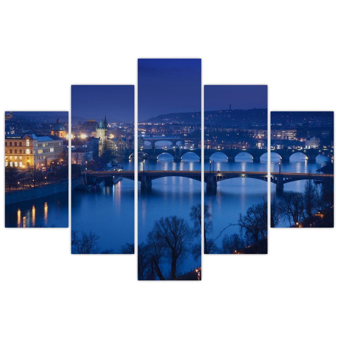 Obraz pražských mostů (V020932V150105)