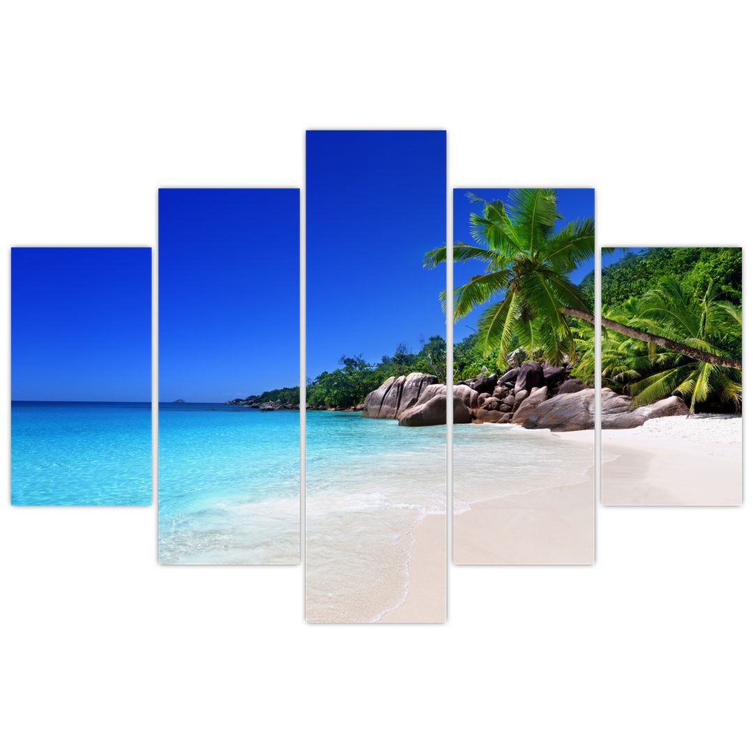 Obraz pláže na Praslin ostrově (V020936V150105)