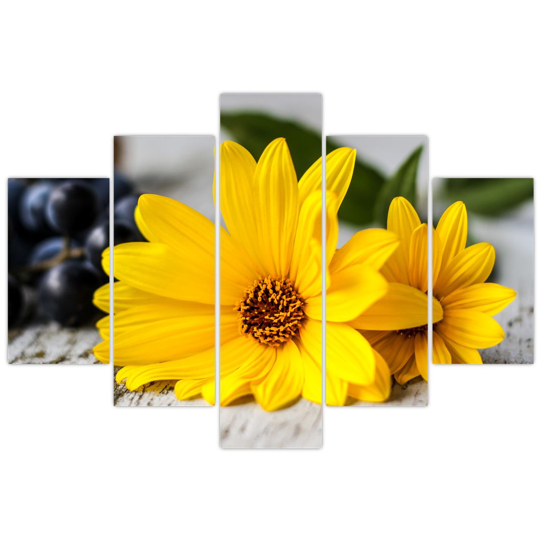 Obraz žluté květiny (V020952V150105)