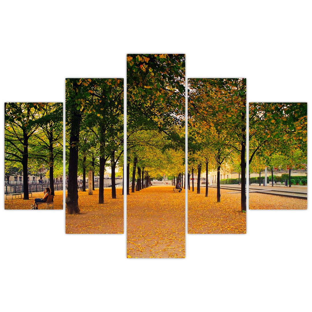 Obraz aleje podzimních stromů (V020953V150105)