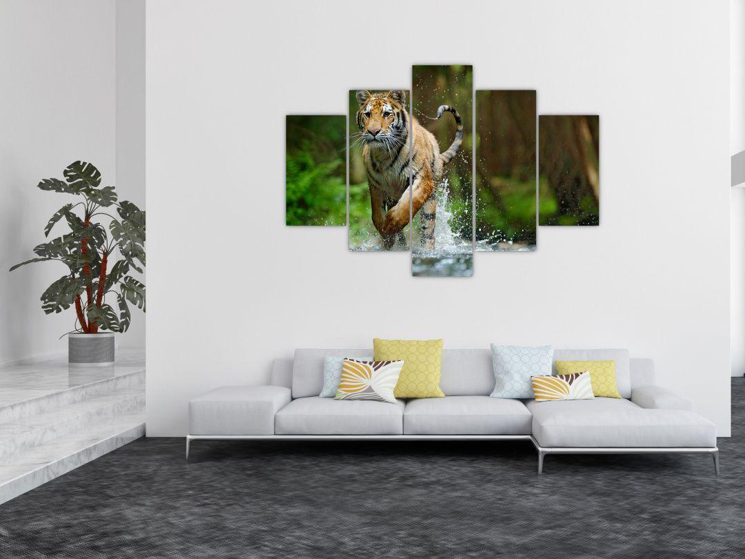 Obraz běžícího tygra (V020979V150105)