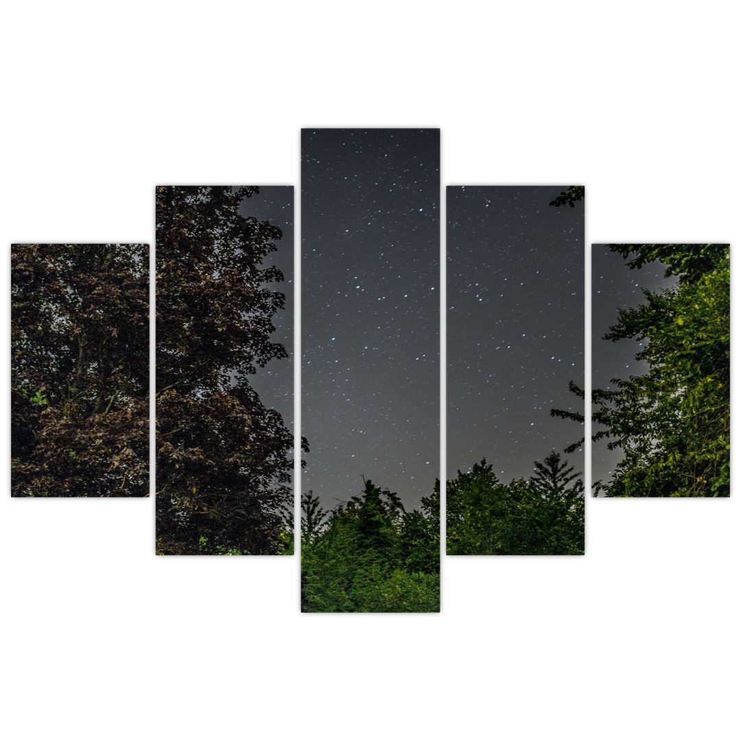 Obraz noční oblohy (V020998V150105)