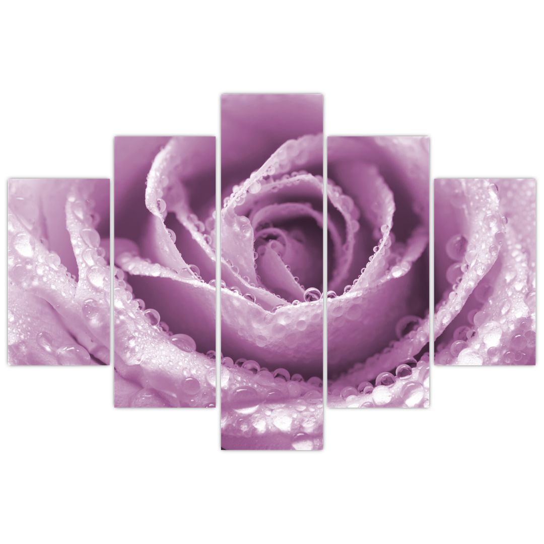 Tablou detaliu de floare de trandafir (V022116V150105)