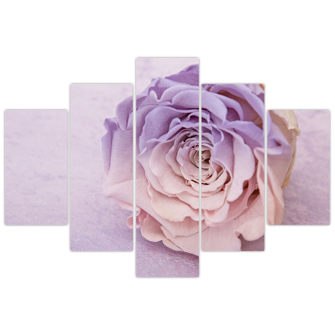Tablou detaliu florii de trandafir (V022149V150105)