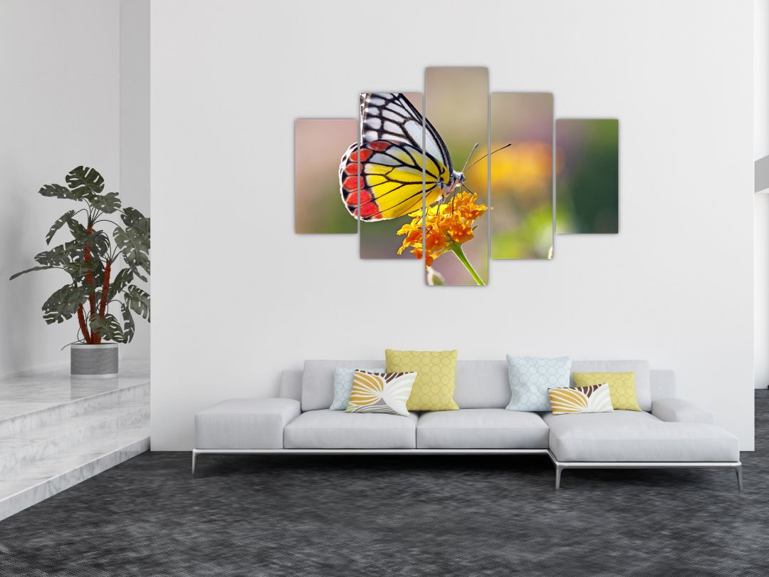 Obraz motýla na květu (V022330V150105)