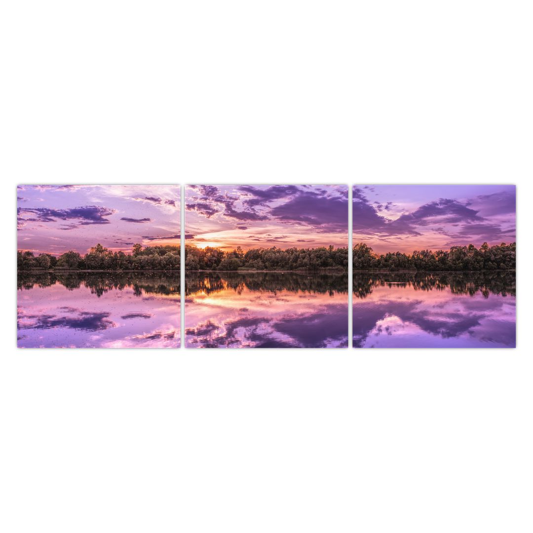 Obraz fialového nebe (V020537V15050)