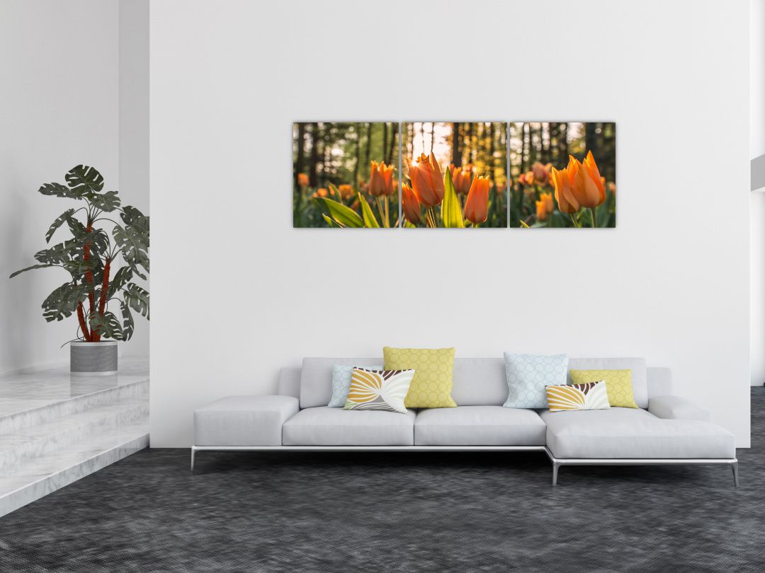 Obraz - oranžové tulipány (V020552V15050)