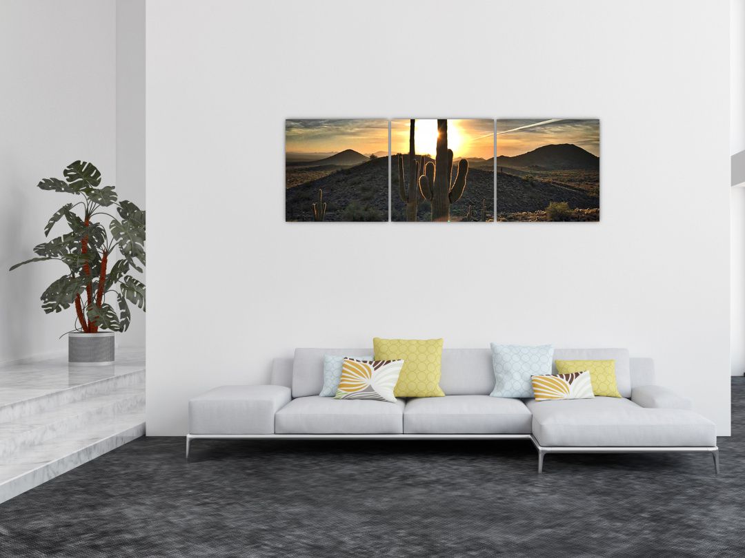 Obraz - kaktusy ve slunci (V020560V15050)