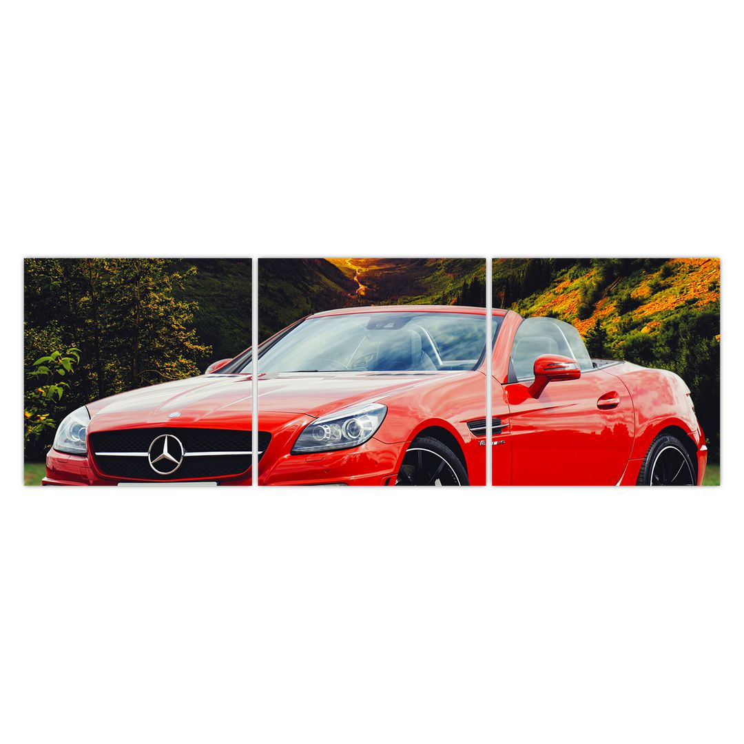 Obraz - červený Mercedes (V020564V15050)