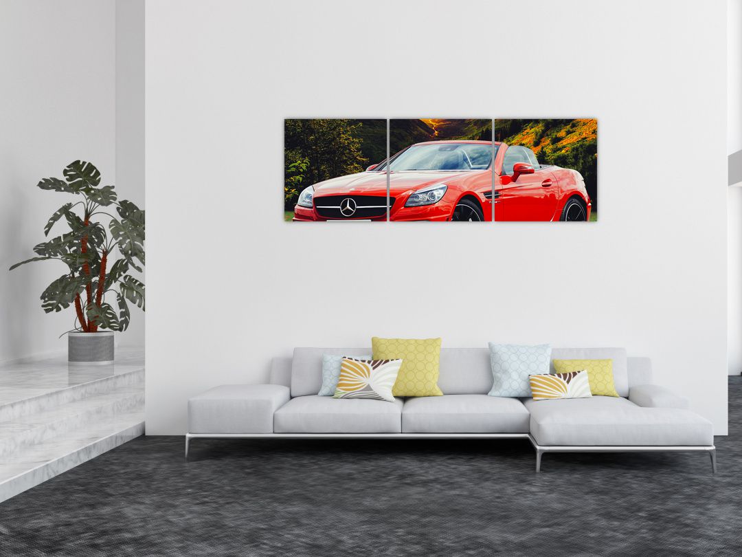 Obraz - červený Mercedes (V020564V15050)