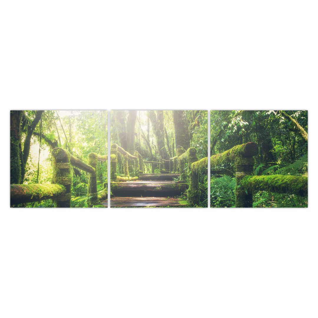 Obraz - dřevěné schody v lese (V020593V15050)