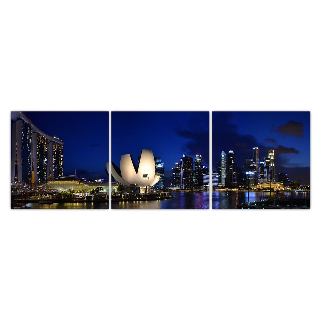 Obraz nočního Singapouru (V020610V15050)