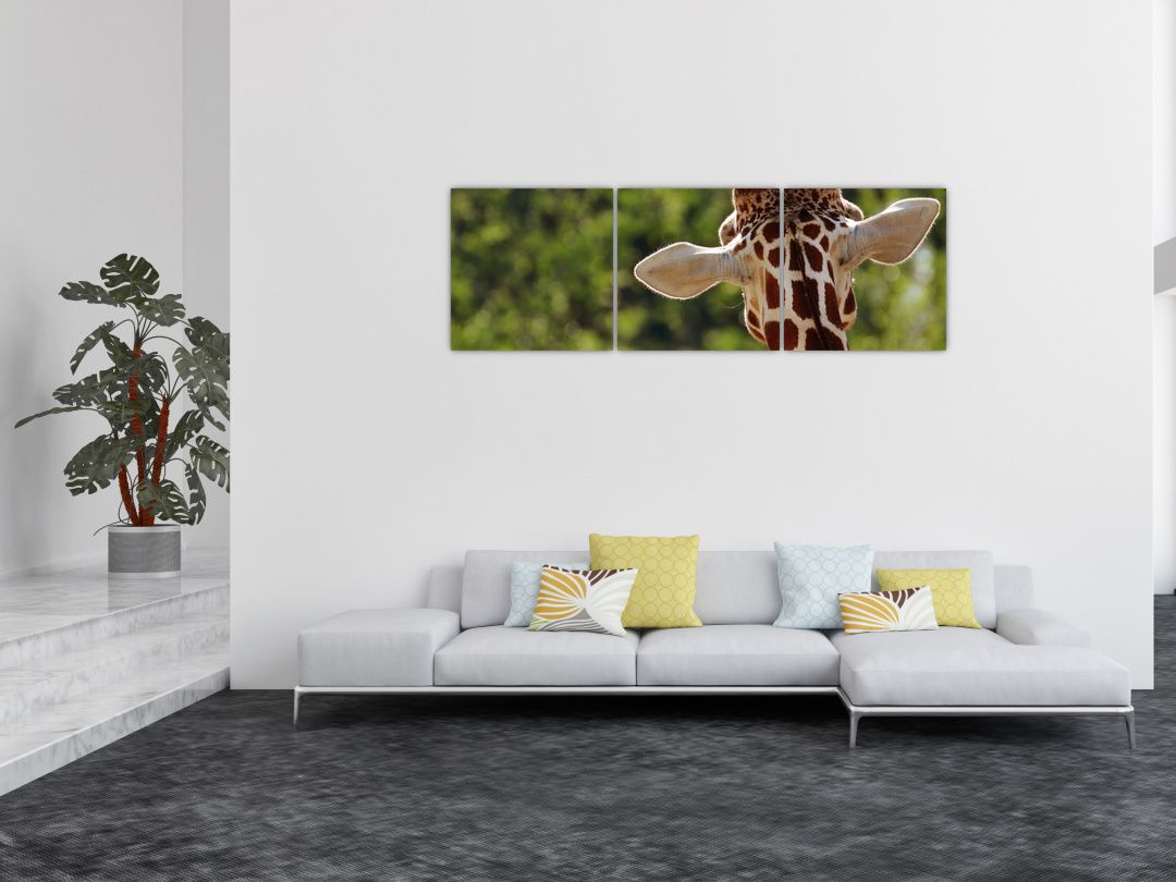 Obraz žirafy zezadu (V020638V15050)