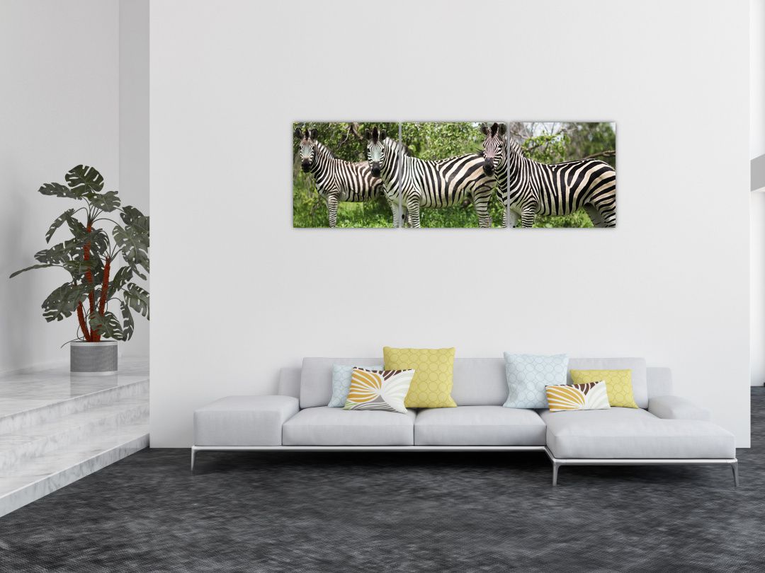 Obraz s zebrami (V020921V15050)