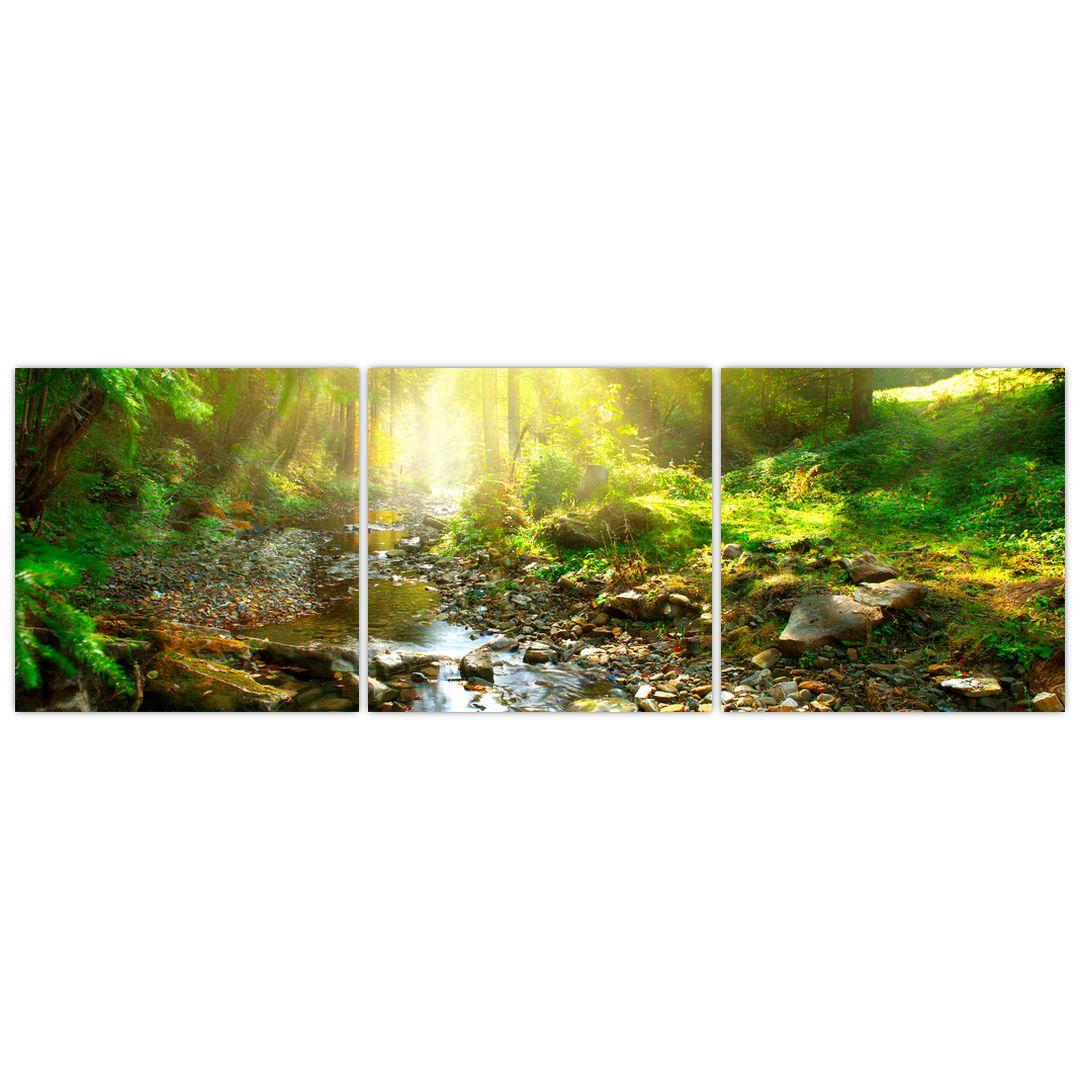Obraz řeky v zeleném lese (V020942V15050)