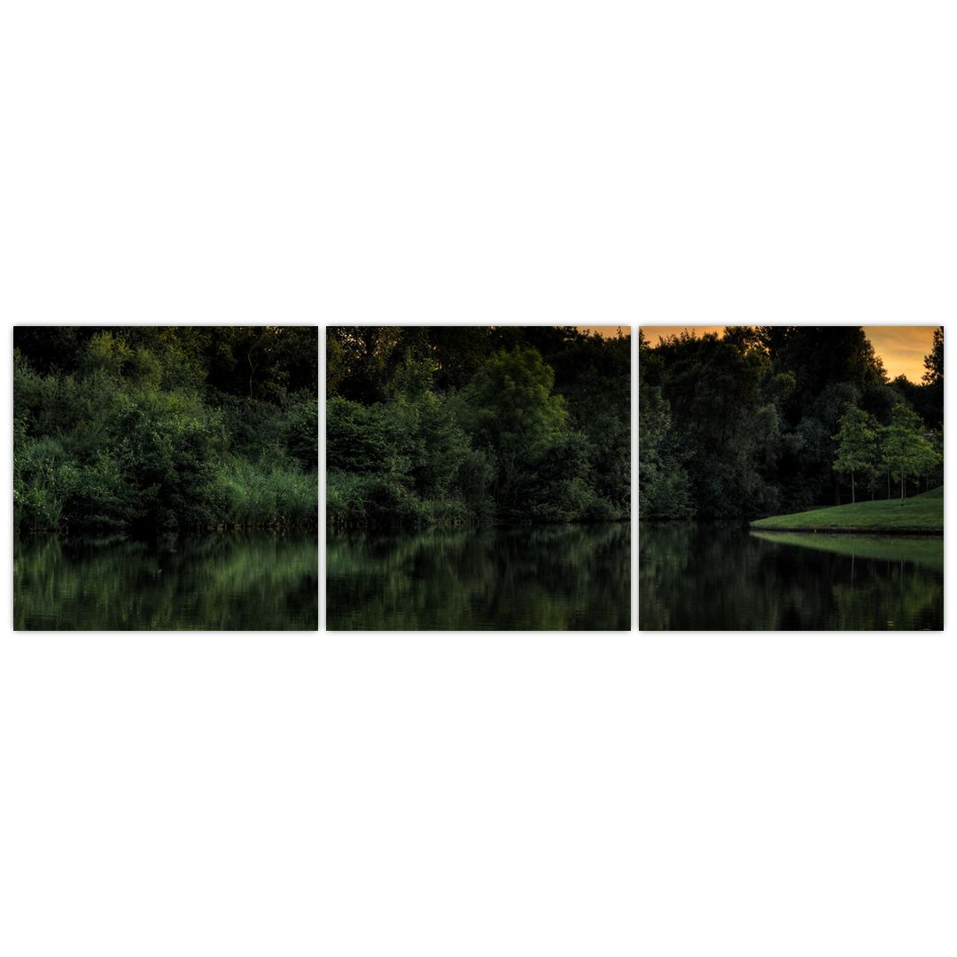 Obraz jezera u lesa (V020974V15050)
