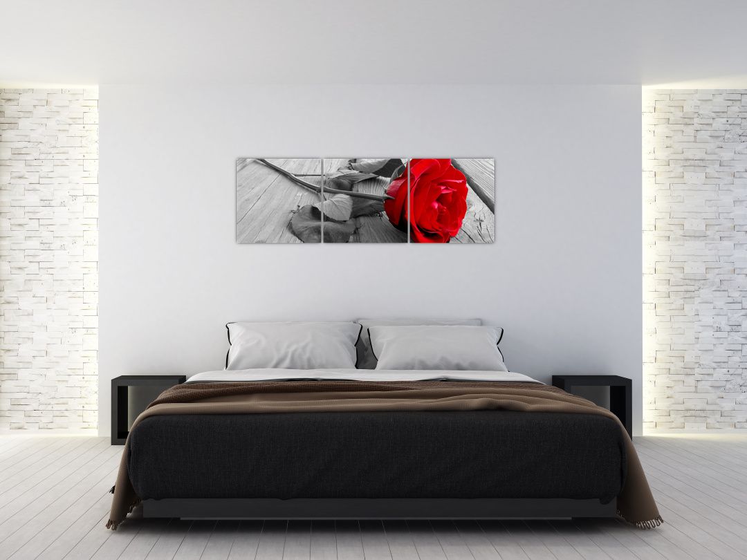 Obraz rudé růže (V022288V15050)