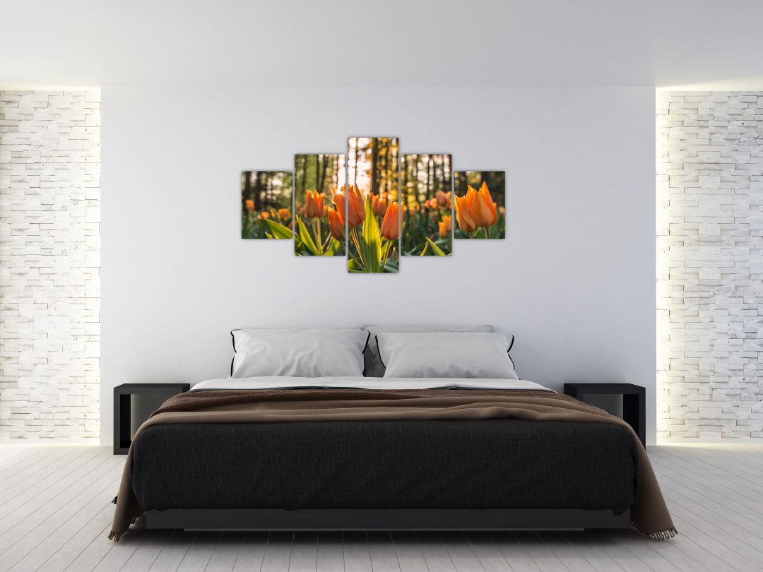 Obraz - oranžové tulipány (V020552V150805PCS)