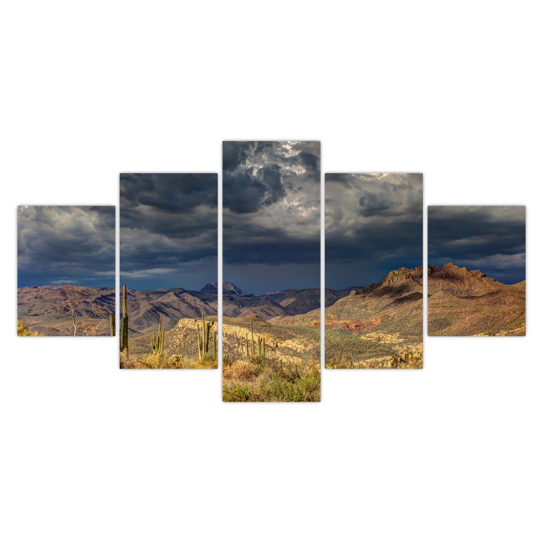 Obraz - kaktusy v přírodě (V020557V150805PCS)