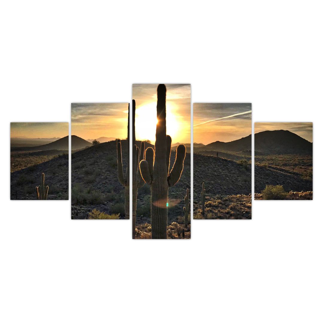 Obraz - kaktusy ve slunci (V020560V150805PCS)