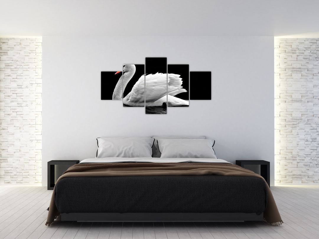 Obraz černobílé labutě (V020586V150805PCS)