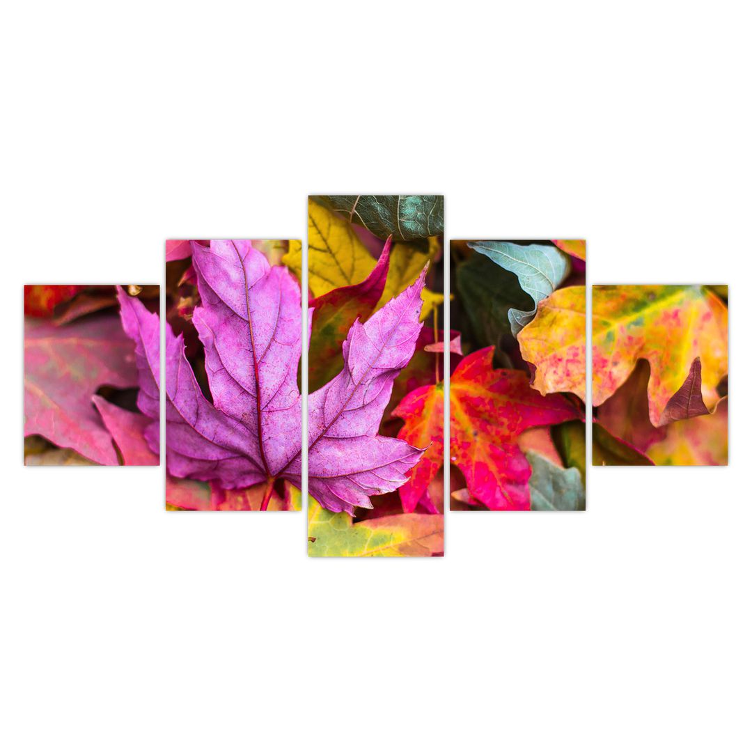 Obraz - podzimní listy (V020629V150805PCS)