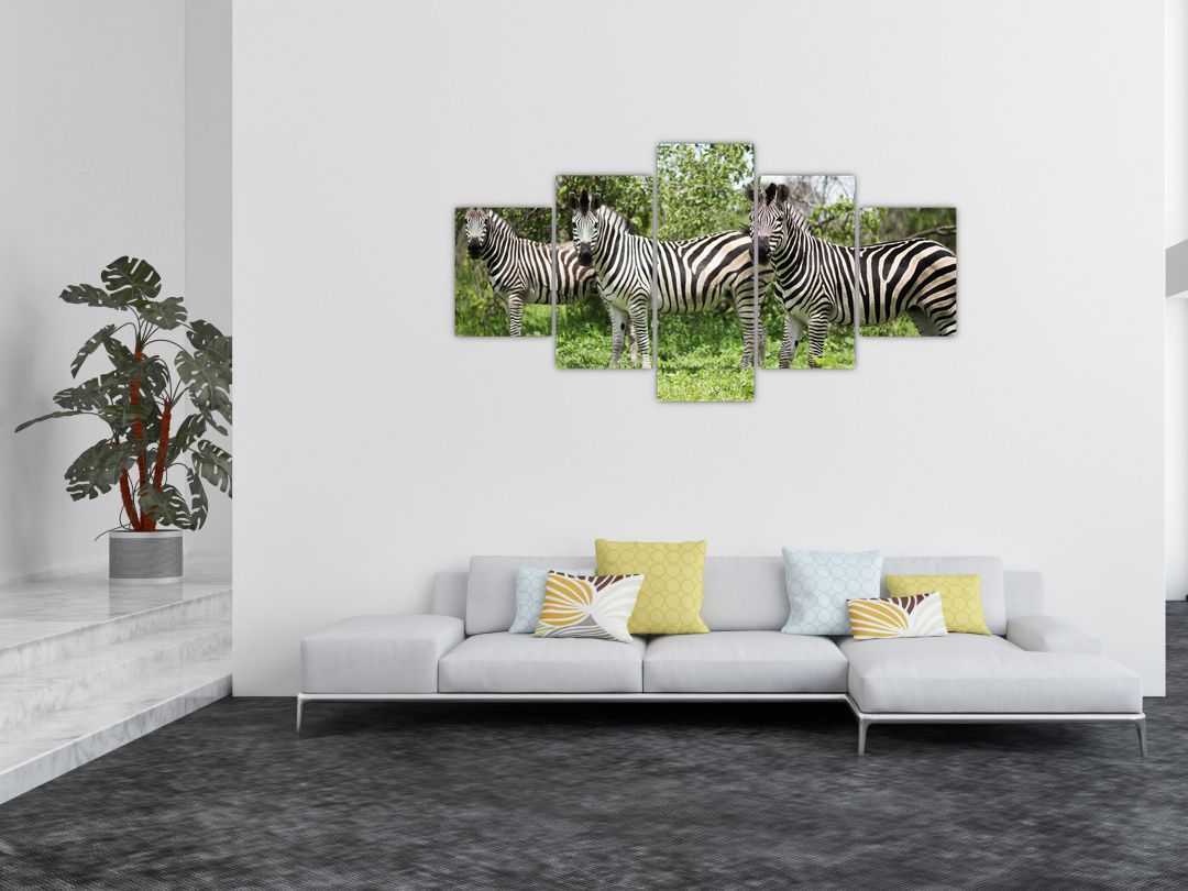 Obraz s zebrami (V020921V150805PCS)
