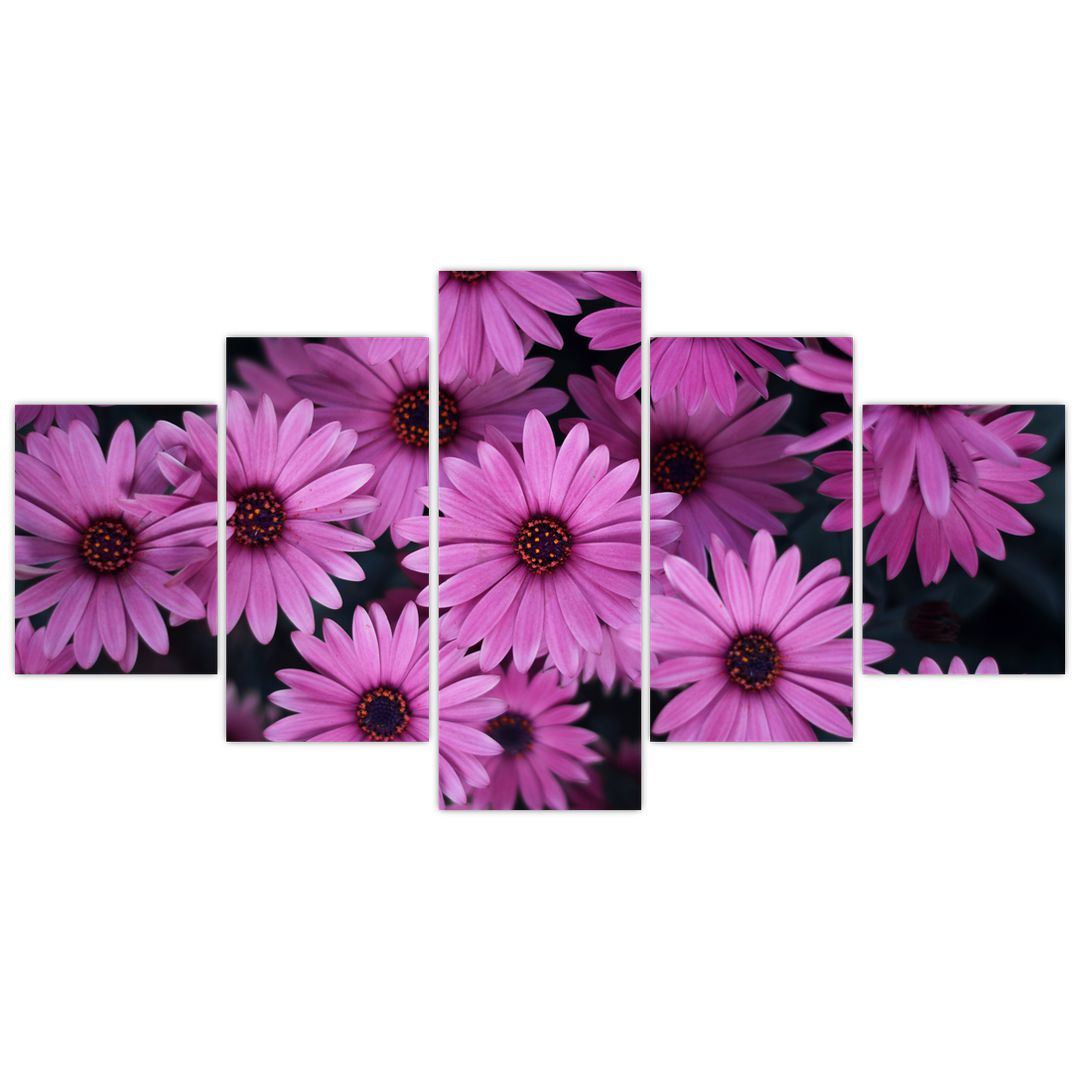 Obraz růžových květů (V020923V150805PCS)