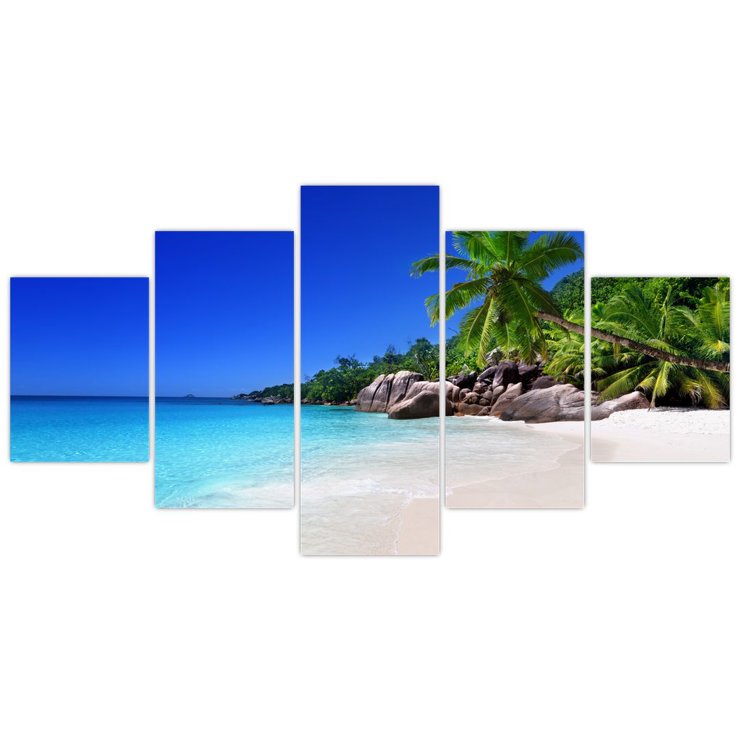 Obraz pláže na Praslin ostrově (V020936V150805PCS)