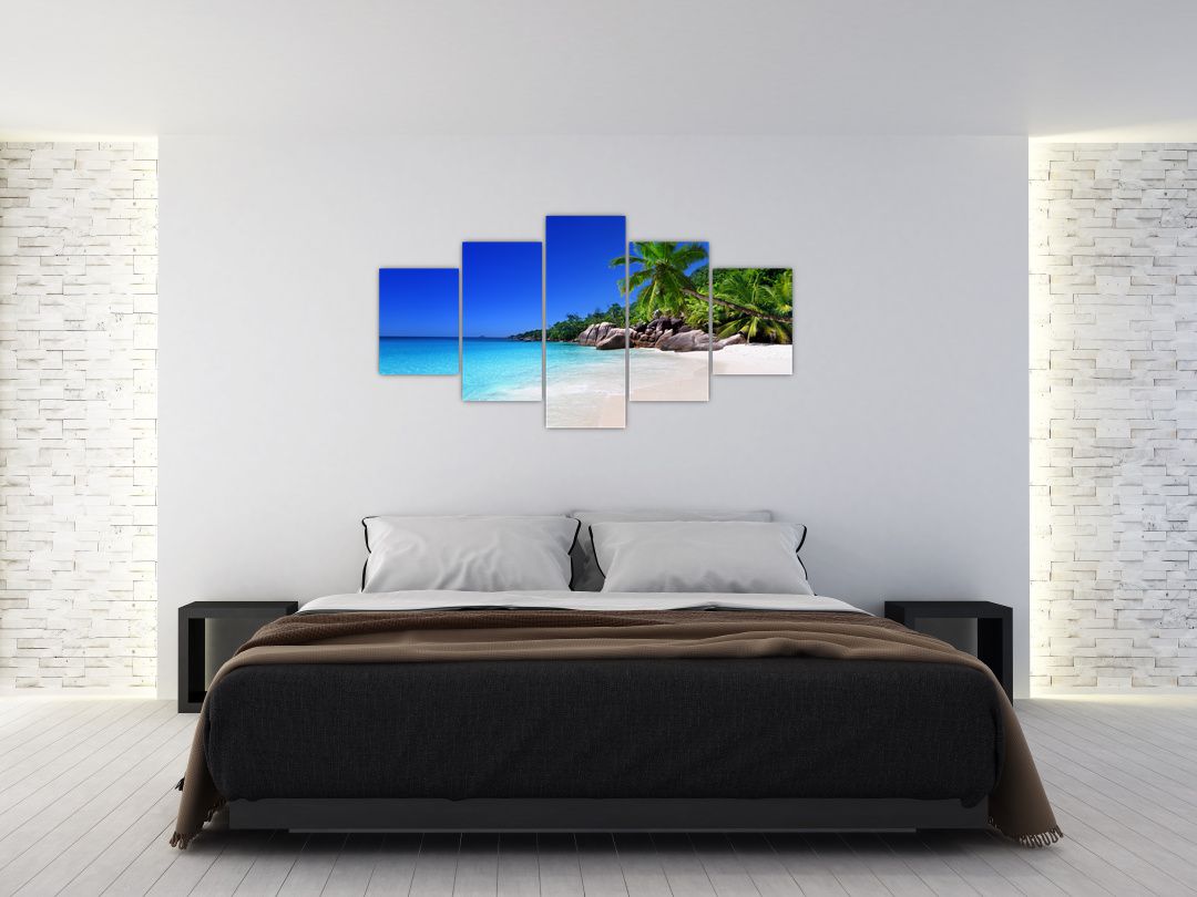 Obraz pláže na Praslin ostrově (V020936V150805PCS)
