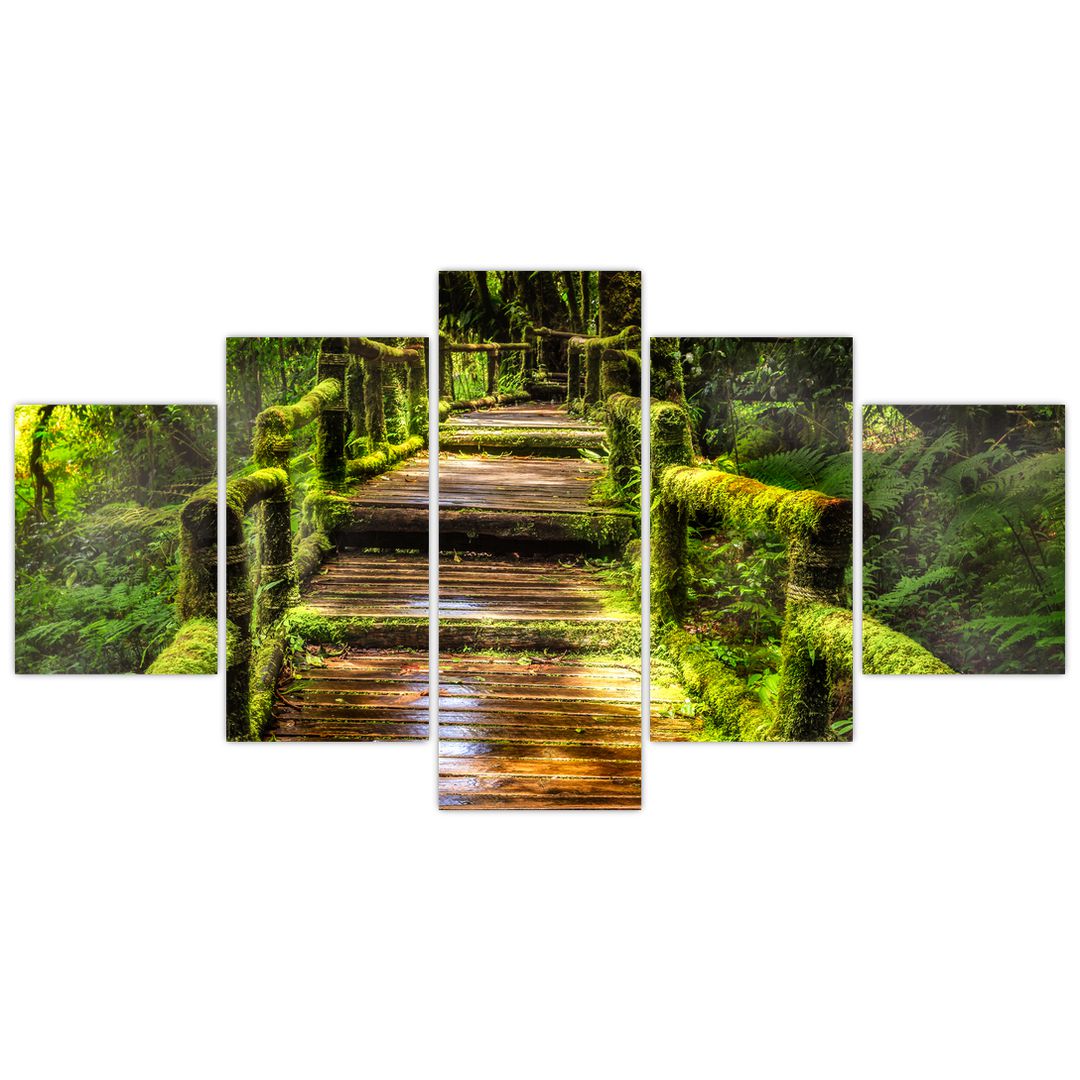 Obraz schodů v deštném pralese (V020941V150805PCS)