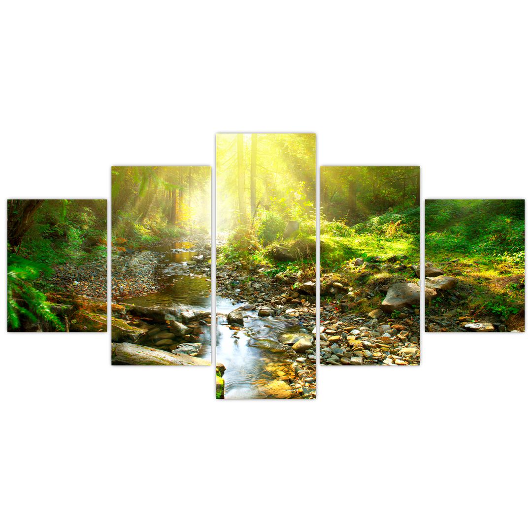 Obraz řeky v zeleném lese (V020942V150805PCS)