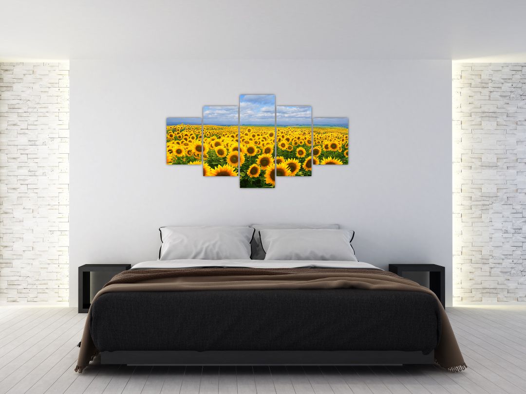 Obraz slunečnicového pole (V020946V150805PCS)