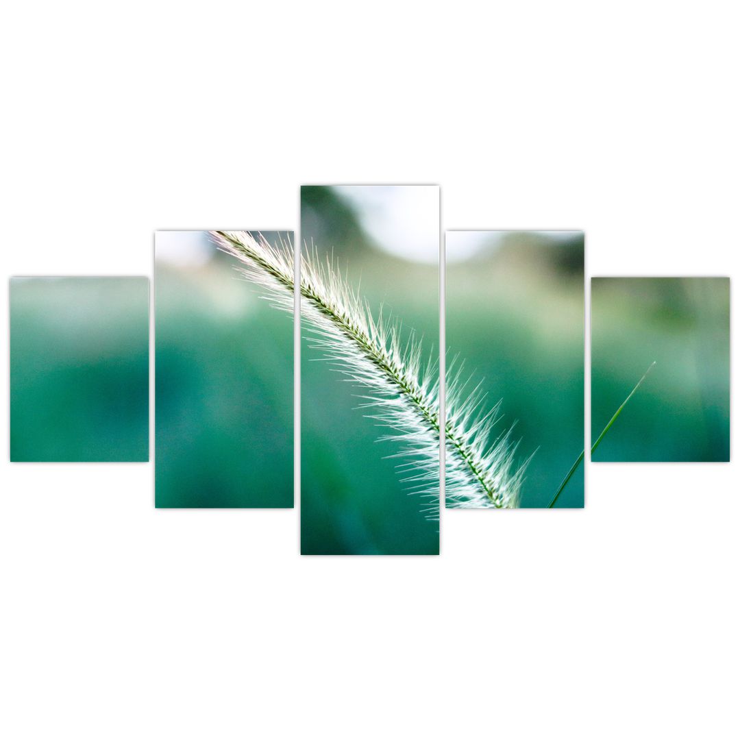 Obraz stébla trávy (V020962V150805PCS)
