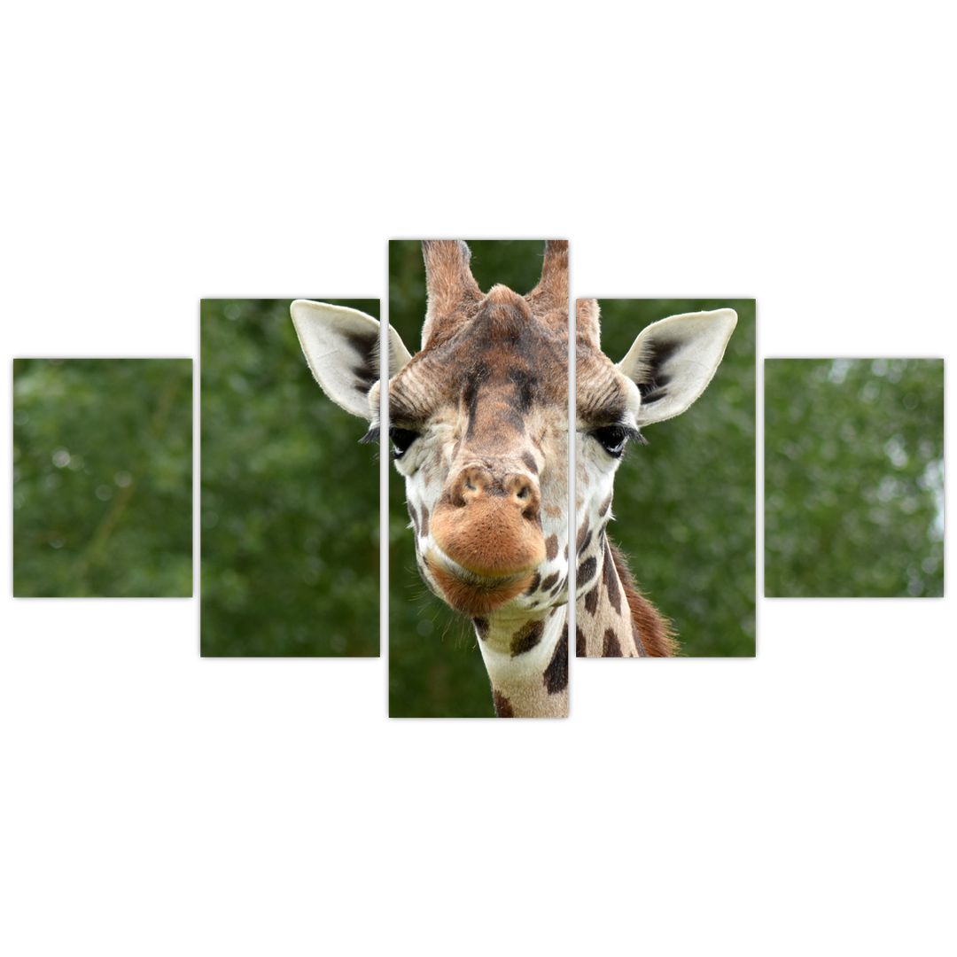 Obraz žirafy (V020969V150805PCS)