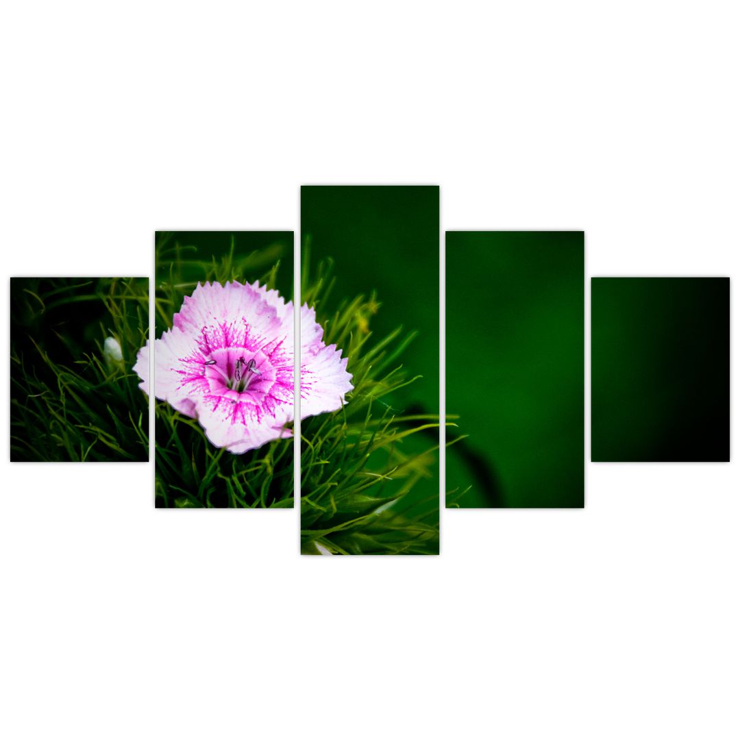 Obraz růžového květu (V020990V150805PCS)