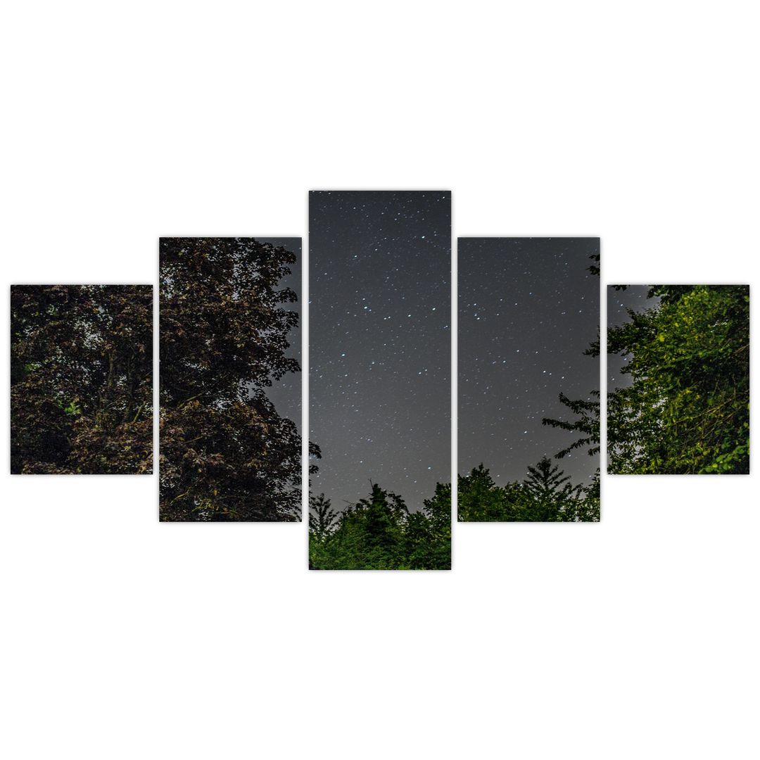 Obraz noční oblohy (V020998V150805PCS)