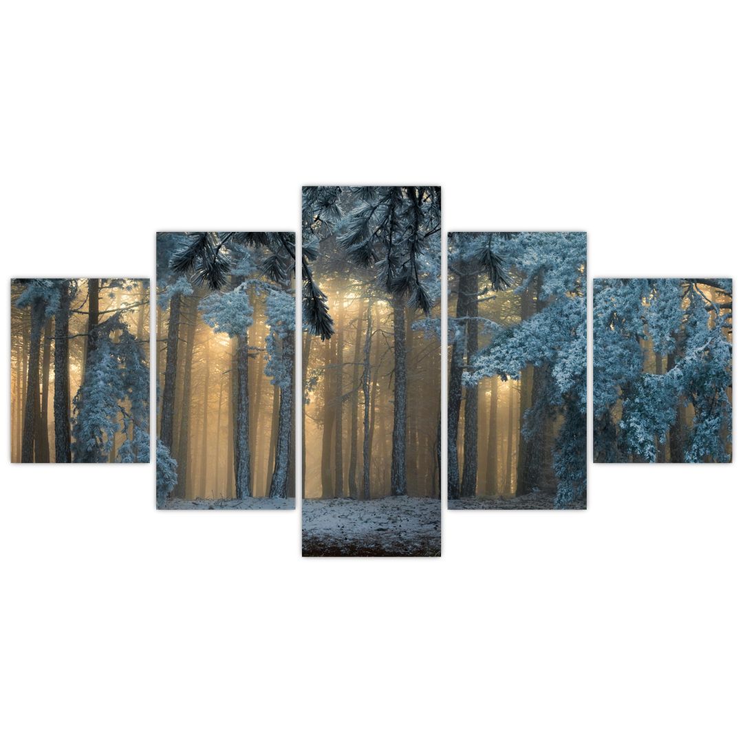 Obraz zasněženého lesa (V022318V150805PCS)