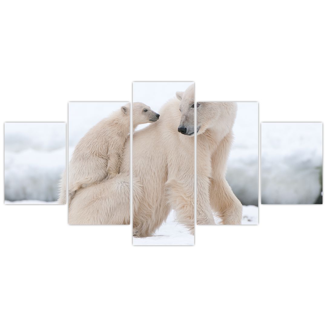 Obraz - Lední medvědi (V022334V150805PCS)