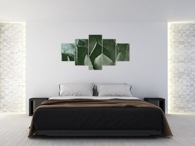 product-thumbnail