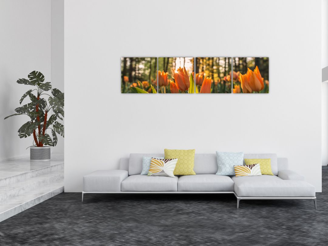 Obraz - oranžové tulipány (V020552V16040)