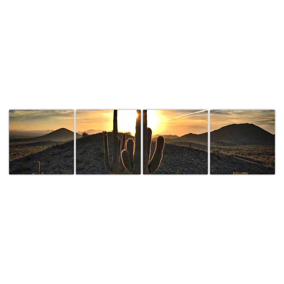 Obraz - kaktusy ve slunci (V020560V16040)