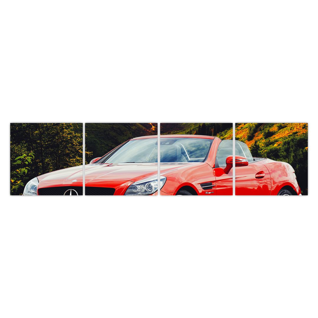 Obraz - červený Mercedes (V020564V16040)