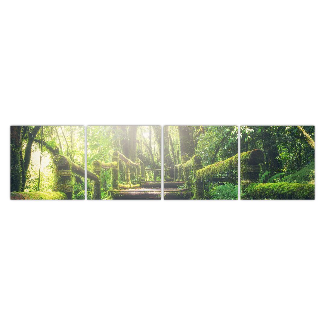 Obraz - dřevěné schody v lese (V020593V16040)