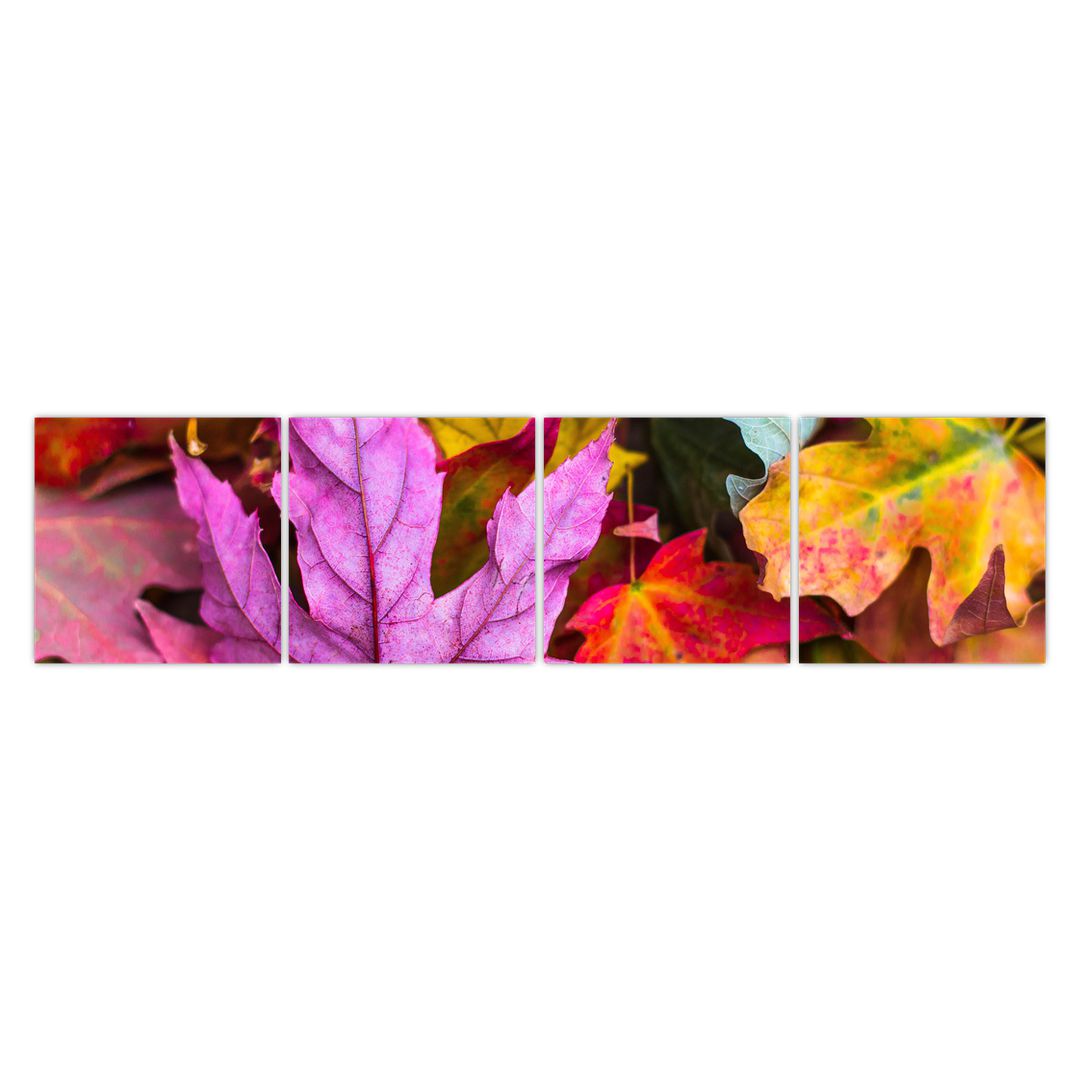 Obraz - podzimní listy (V020629V16040)